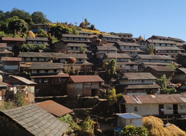 category photo
