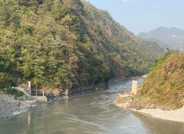 category photo