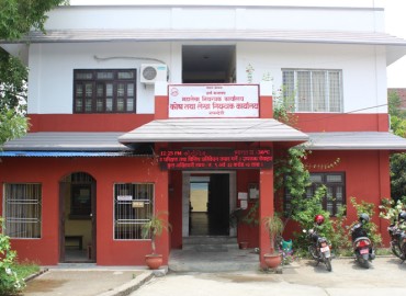 category photo