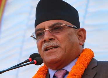 category photo