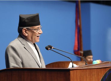 category photo