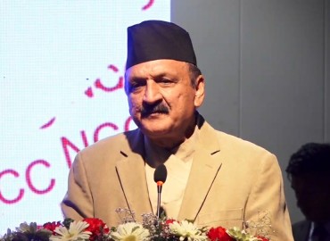 category photo