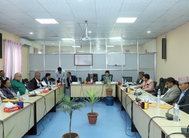 category photo