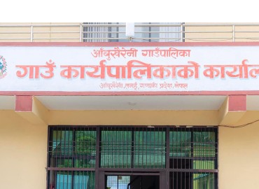 category photo