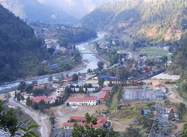 category photo