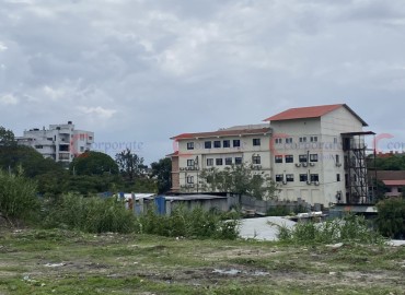 category photo