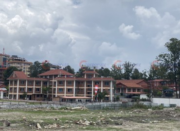category photo