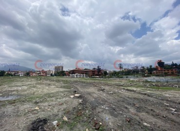 category photo
