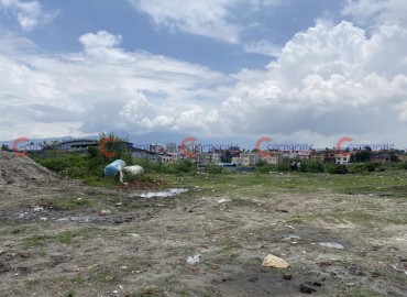 category photo