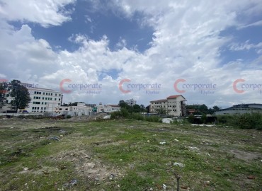 category photo