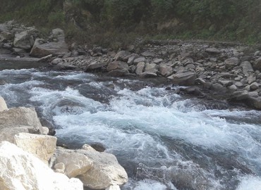 category photo