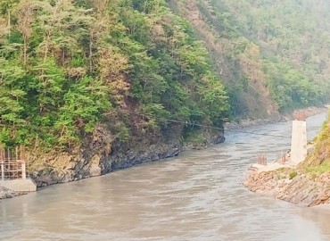 category photo