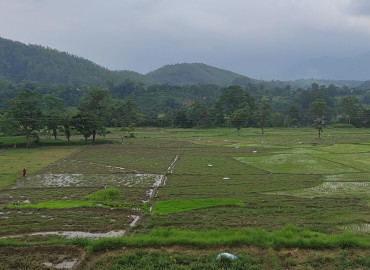 category photo