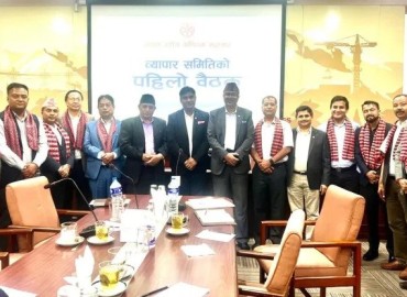 category photo
