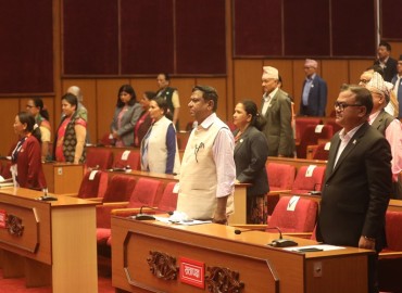 category photo
