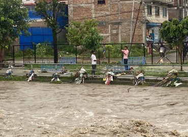 category photo