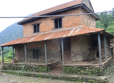 category photo