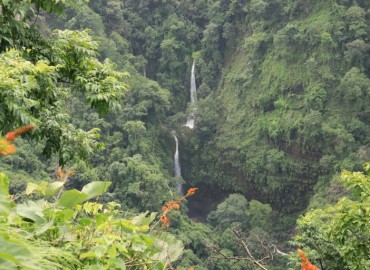 category photo