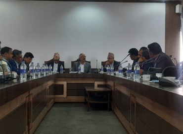 category photo