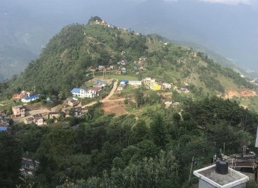 category photo