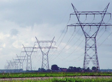 category photo