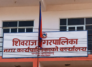 category photo