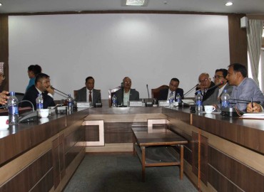 category photo