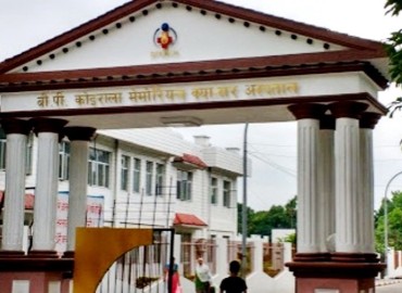 category photo