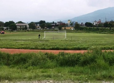 category photo