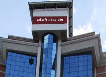 category photo