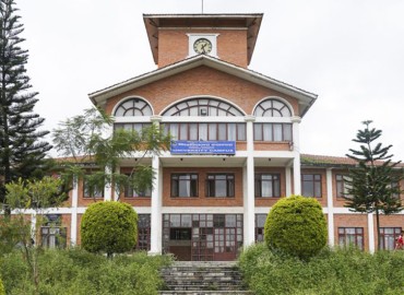 category photo