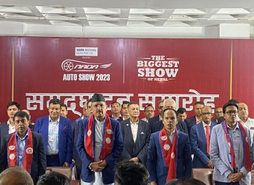 category photo