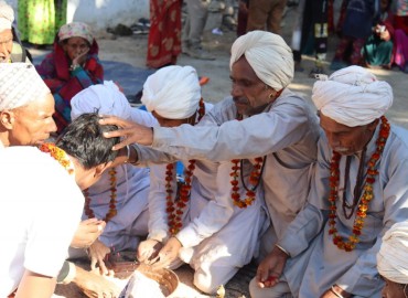 category photo