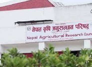 category photo