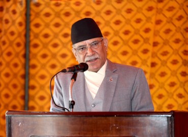 category photo