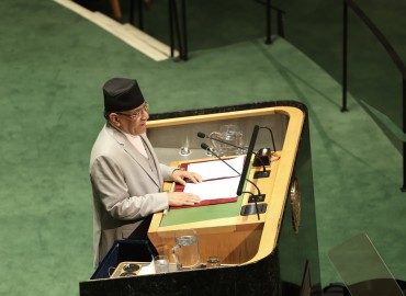 category photo