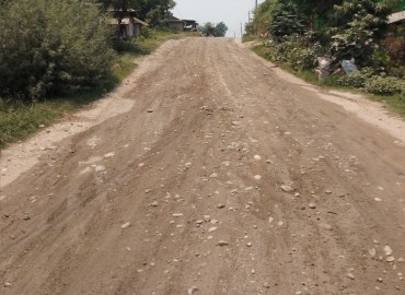 category photo