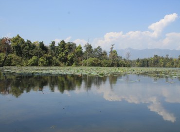 category photo