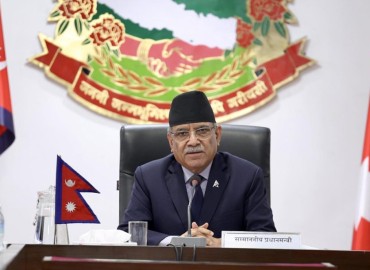category photo