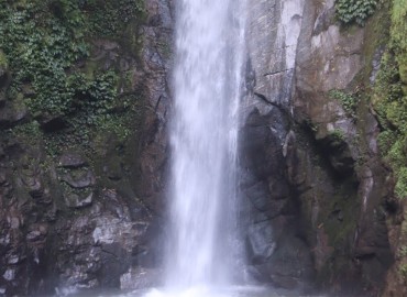 category photo