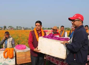 category photo