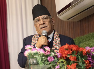 category photo