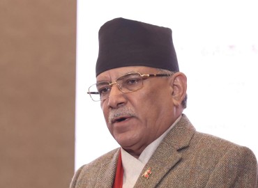 category photo