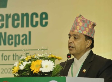 category photo