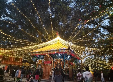 category photo