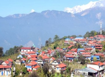 category photo
