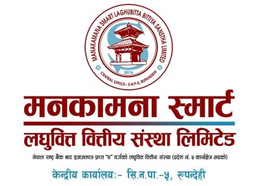 category photo