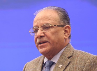 category photo