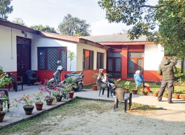 category photo