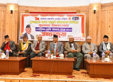 category photo